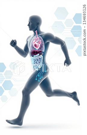 Futuristic 3D Illustration of Running Human Body with Glowing Organs and Digital Interface. 134693126