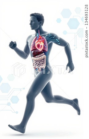 Futuristic 3D Illustration of Running Human Body with Glowing Organs and Digital Interface. 134693128