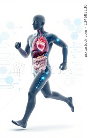 Futuristic 3D Illustration of Running Human Body with Glowing Organs and Digital Interface. 134693130