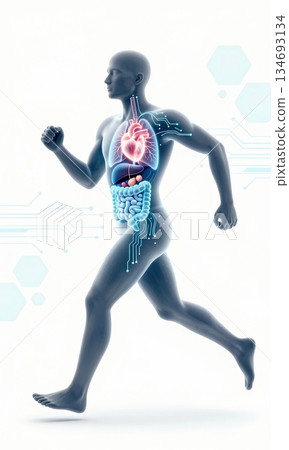 Futuristic 3D Illustration of Running Human Body with Glowing Organs and Digital Interface. Futuristic 3D Illustration of Running Human Body with Glowing Organs and Digital Interface. 134693134