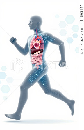 Futuristic 3D Illustration of Running Human Body with Glowing Organs and Digital Interface. Futuristic 3D Illustration of Running Human Body with Glowing Organs and Digital Interface. 134693135