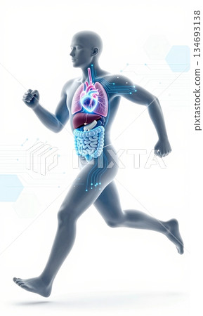 Futuristic 3D Illustration of Running Human Body with Glowing Organs and Digital Interface. 134693138