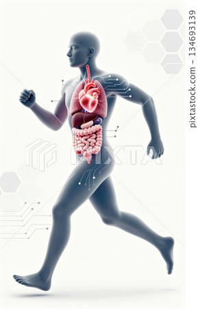 Futuristic 3D Illustration of Running Human Body with Glowing Organs and Digital Interface. Futuristic 3D Illustration of Running Human Body with Glowing Organs and Digital Interface. 134693139