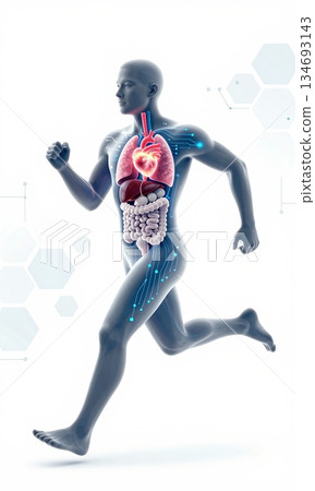 Futuristic 3D Illustration of Running Human Body with Glowing Organs and Digital Interface. Futuristic 3D Illustration of Running Human Body with Glowing Organs and Digital Interface. 134693143
