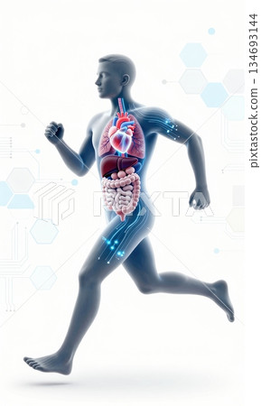 Futuristic 3D Illustration of Running Human Body with Glowing Organs and Digital Interface. 134693144