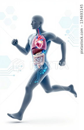 Futuristic 3D Illustration of Running Human Body with Glowing Organs and Digital Interface. 134693145