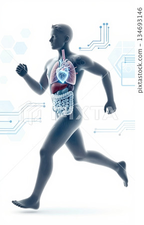 Futuristic 3D Illustration of Running Human Body with Glowing Organs and Digital Interface. Futuristic 3D Illustration of Running Human Body with Glowing Organs and Digital Interface. 134693146