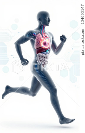 Futuristic 3D Illustration of Running Human Body with Glowing Organs and Digital Interface. Futuristic 3D Illustration of Running Human Body with Glowing Organs and Digital Interface. 134693147