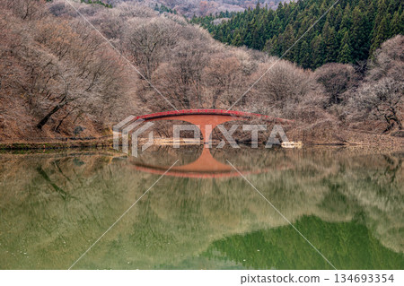 Usui Lake Usui Lake 134693354