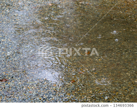 Rain falling in a puddle and ripples Rain falling in a puddle and ripples 134693366