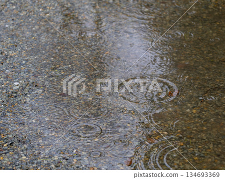 Rain falling in a puddle and ripples 134693369