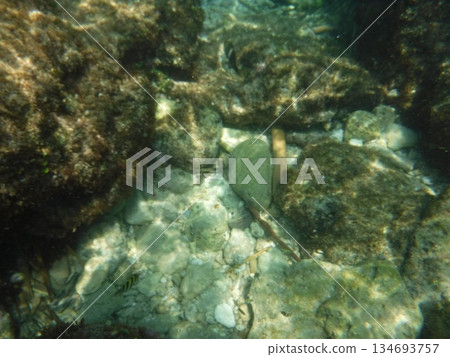 Stones in the shallows Stones in the shallows 134693757