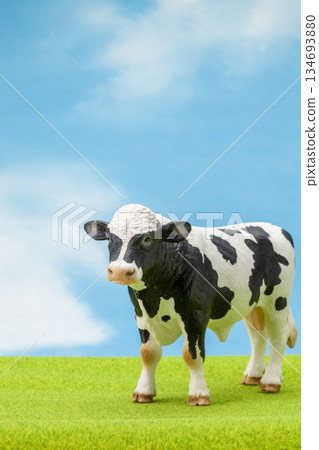 Holstein 134693880