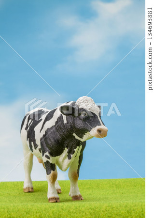 Holstein 134693881