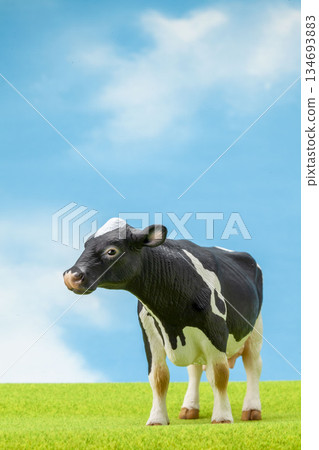 Holstein 134693883