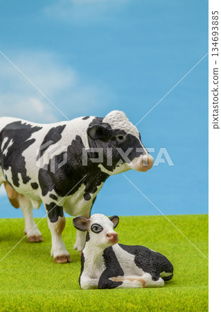 Holstein 134693885