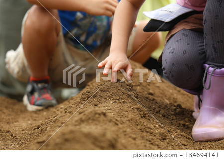 孩子種植蔬菜種子 134694141