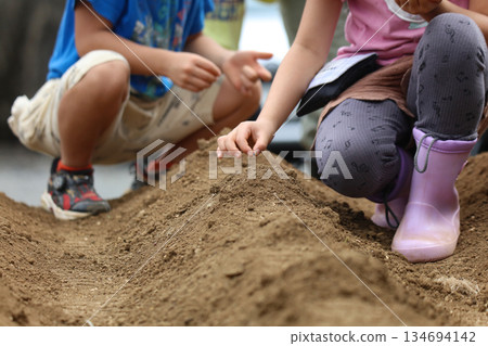 孩子種植蔬菜種子 134694142