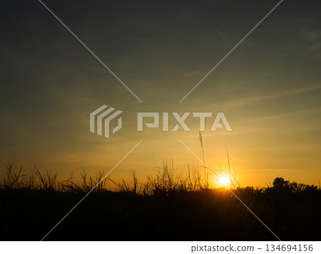 Sky Sunset Cloud Sunrise background Blue Gold Sun Clear Horizon Beauty Sunny Day Light View Clean Bright Cloudy Nature Summer Heaven Wallpaper Cloudscape Outdoor High Sunlight Fluffy Landscape. 134694156