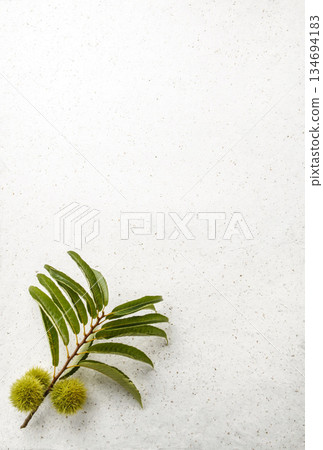 Saki chestnut 134694183