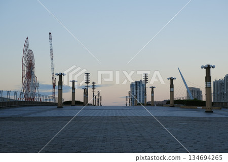 台場摩天輪拆除工程 2022年9月 台場摩天輪拆除工程 2022年9月 134694265