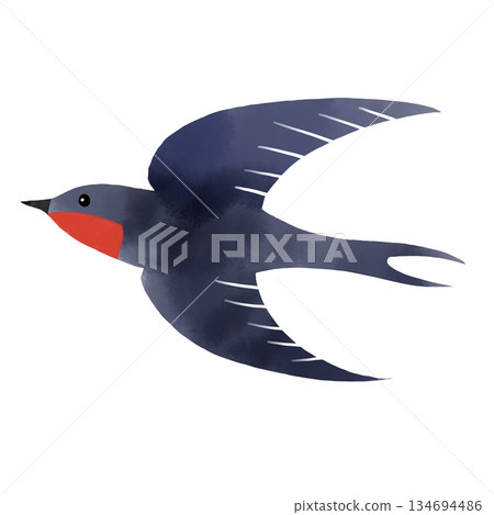 Watercolor style simple illustration of a swallow flying in the sky 134694486