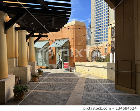 川崎城堡 134694524