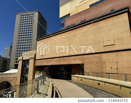 川崎城堡 134694535