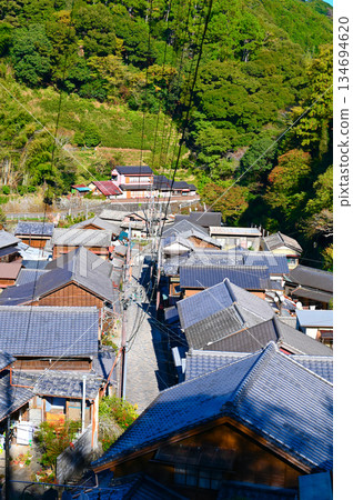 Utsunotani Village Streetscape, Shizuoka City 134694620
