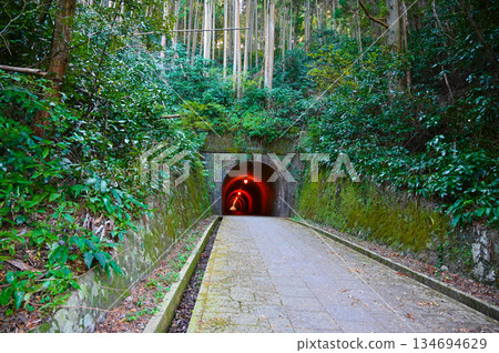 Meiji Era Tunnel: Utsunotani Pass Meiji Era Tunnel: Utsunotani Pass 134694629