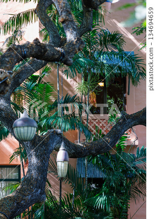 Hotel room window and palm leaves Hotel room window and palm leaves 134694659