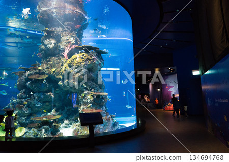 新加坡 水族館 魚 134694768