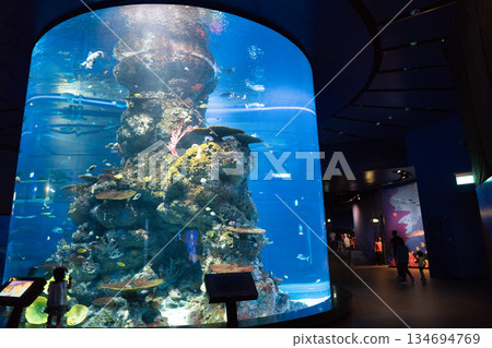 新加坡 水族館 魚 134694769
