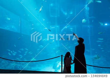 新加坡 水族館 魚 134694849