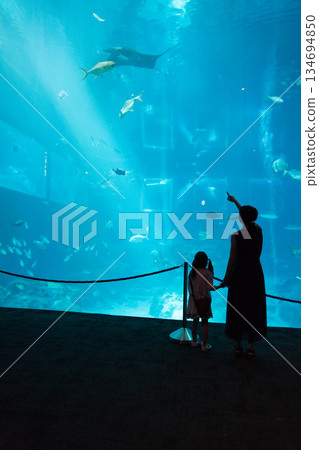 新加坡 水族館 魚 134694850