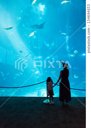 新加坡 水族館 魚 134694853