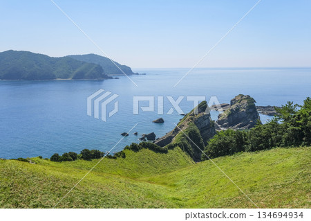 小色島上的鹿角百合花簇和東海 134694934