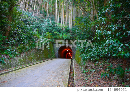 Meiji Tunnel, Utsunotani Pass, Shizuoka City 134694951