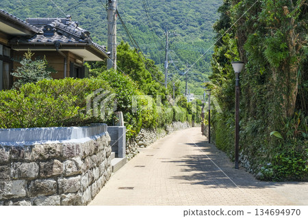 下越島手內藤本武士住宅街的石牆 134694970