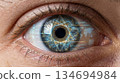 Biometric Data on Human eye 134694984