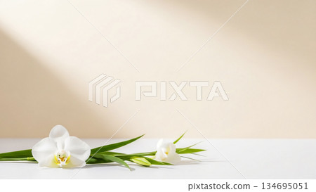 Lily flower and simple background, suitable for wedding and beauty advertisement Lily flower and simple background, suitable for wedding and beauty advertisement 134695051