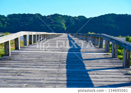 蓬萊橋,旅遊景點,島田市 蓬萊橋,旅遊景點,島田市 134695081