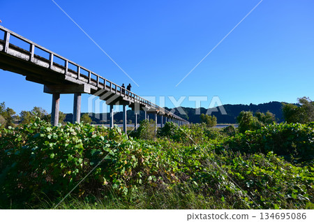 蓬萊橋,旅遊景點,島田市 蓬萊橋,旅遊景點,島田市 134695086
