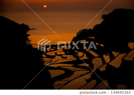 濱之浦：稻田日落 134695163