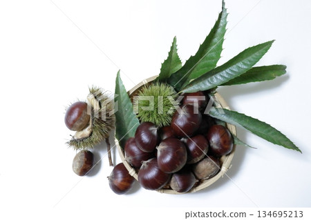 Autumn taste chestnuts, harvest, autumn image material photo 134695213