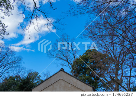 屋頂與森林 134695227