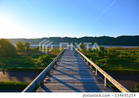 島田市的蓬萊橋是一座木製人行橋 島田市的蓬萊橋是一座木製人行橋 134695254