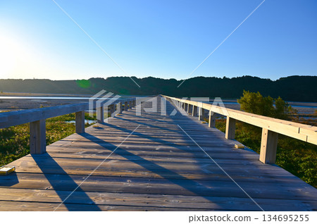 島田市的蓬萊橋是一座木製人行橋 島田市的蓬萊橋是一座木製人行橋 134695255