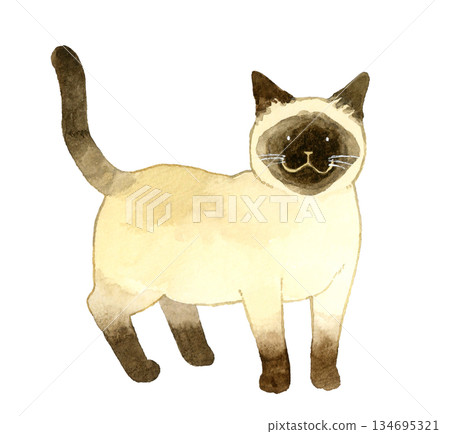 站立的暹羅貓 - 手繪水彩寵物和動物插畫 站立的暹羅貓 - 手繪水彩寵物和動物插畫 134695321