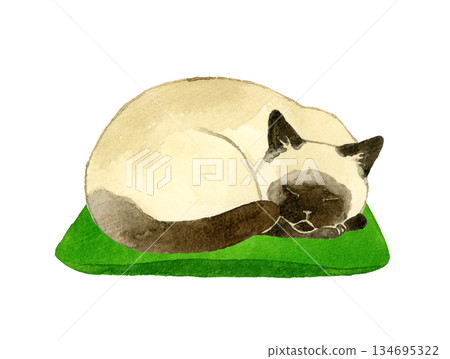 一隻暹羅貓蜷縮在墊子上睡覺。手繪水彩寵物或動物插圖。 134695322